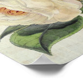 Rose des Vintagen botanischen Präsidenten Poster (Ecke)