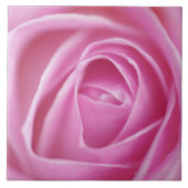 Rose, Deutschland Fliese (Vorderseite)