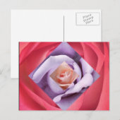 Rose Diamond Postcard Postkarte (Vorne/Hinten)