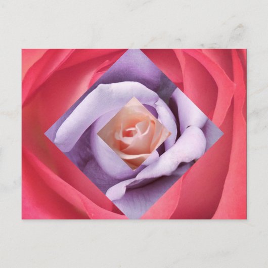 Rose Diamond Postcard Postkarte (Vorderseite)