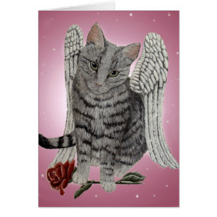 Rose, die Angel-Katze
