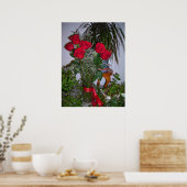 Rose, die ewig bestehen poster (Küche)