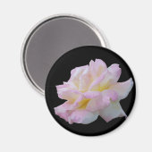 Rose digitales zeichn magnet (Vorderseite/Rückseite)