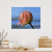 Rose drucken poster (Küche)