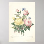 Rose du Bengale Canvas Print Poster (Vorne)