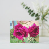 Rose Duo Postkarte (Stehend Vorderseite)