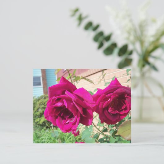 Rose Duo Postkarte (Stehend Vorderseite)