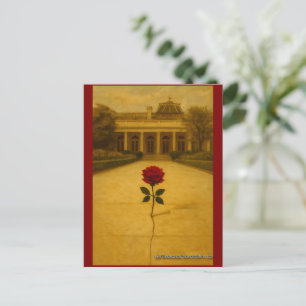 Rose durch den Riss: Rückseite des Weißen Hauses Postkarte