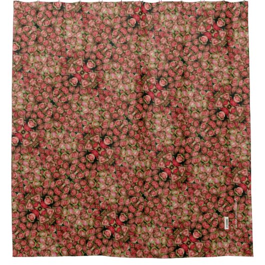 Rose Duschvorhang (Vorderseite)