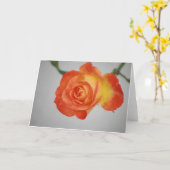 Rose ein Feuer Karte (Gelbe Blume)