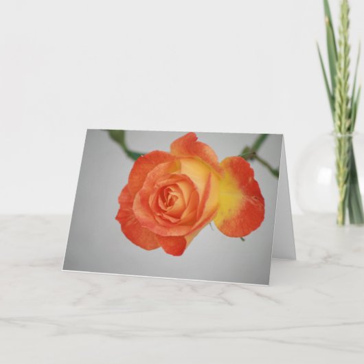 Rose ein Feuer Karte (Vorderseite)