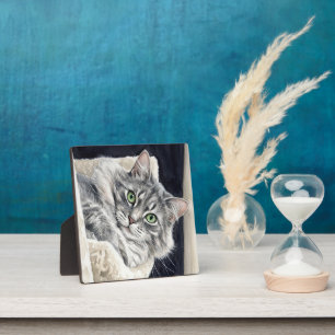 Rose, eine Katze mit auffallenden grünen Augen Fotoplatte