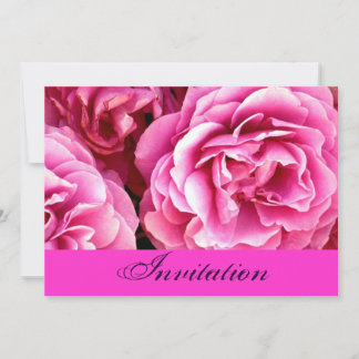 ROSE, Einladung_ Einladung