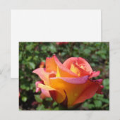 Rose Einladungspostkarte (Vorne/Hinten)