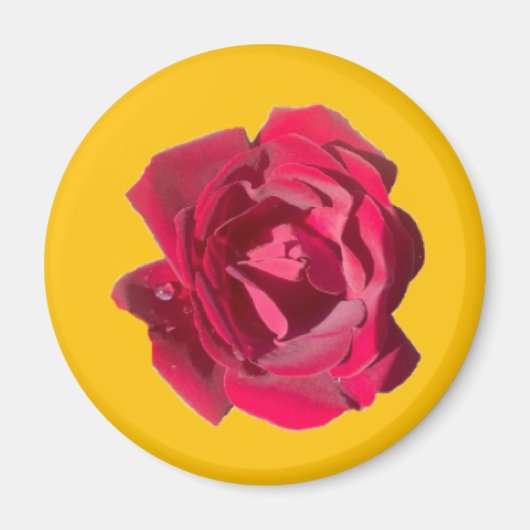 ROSE F MAGNET (Vorne)