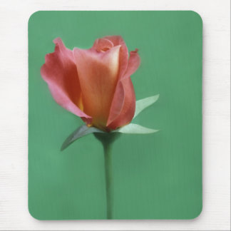 Rose-farbige Rose Mousepad