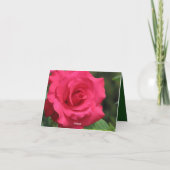 Rose Feiertagskarte (Rückseite)
