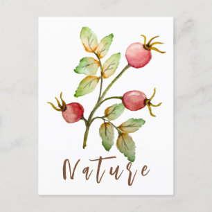 Rose Feiertagspostkarte
