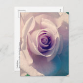 Rose Feiertagspostkarte (Vorne/Hinten)