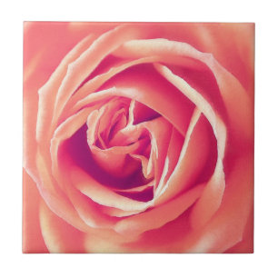 Rose Fliese