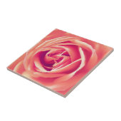 Rose Fliese (Seite)