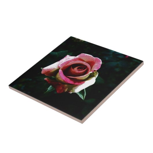 rose  fliese (Seite)