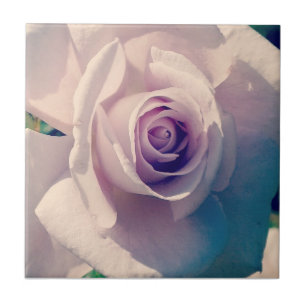 Rose Fliese