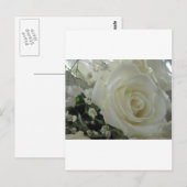 Rose Floral Postkarte (Vorne/Hinten)