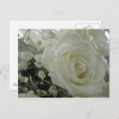 Rose Floral Postkarte (Vorne/Hinten)