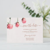 Rose Florenz (Stehend Vorderseite)