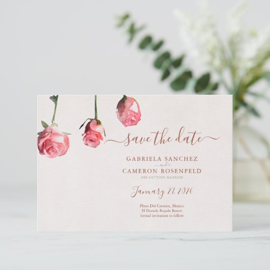 Rose Florenz (Stehend Vorderseite)