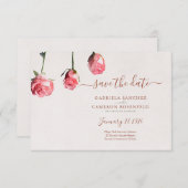 Rose Florenz (Vorne/Hinten)