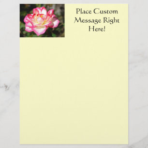 Rose Flyer Vorlage Pink Weiße Rose Gelbe Flyer