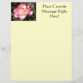 Rose Flyer Vorlage Rosa Gelber Flyer (Vorne)