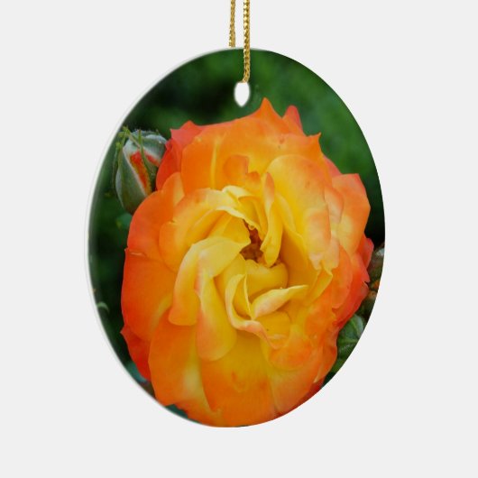 Rose Foto Ornament (Rechts)