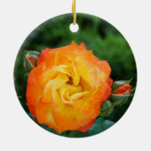 Rose Foto Ornament (Hinten)
