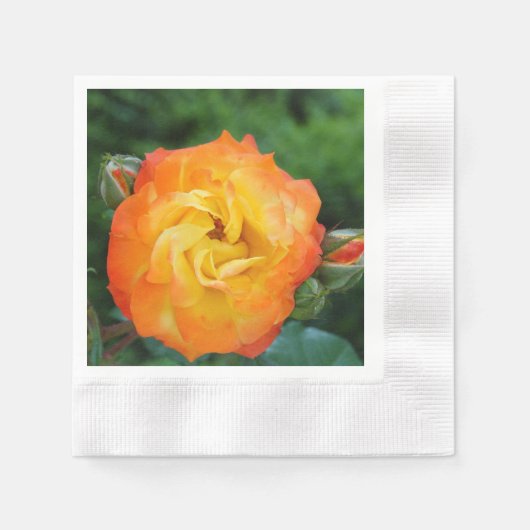Rose Foto Paper Napkins Serviette (Vorderseite)