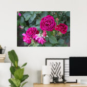 Rose Foto Poster (Heimbüro)