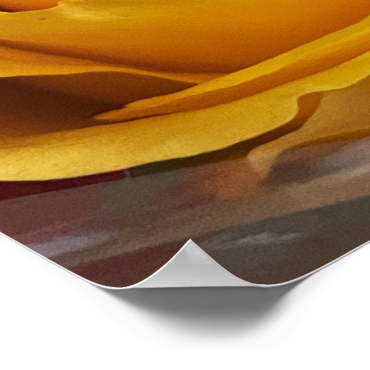 Rose Foto Poster (Ecke)