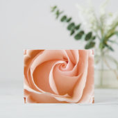 Rose Foto Postkarte (Stehend Vorderseite)