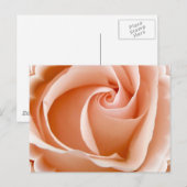 Rose Foto Postkarte (Vorne/Hinten)