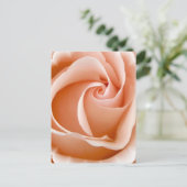 Rose Foto Postkarte (Stehend Vorderseite)