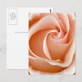 Rose Foto Postkarte (Vorne/Hinten)