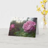 Rose Foto Standard, 5" x 7" Folded Greeting Card Karte (Gelbe Blume)