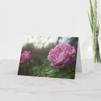 Rose Foto Standard, 5" x 7" Folded Greeting Card Karte