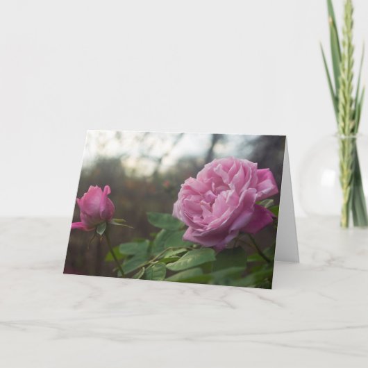 Rose Foto Standard, 5" x 7" Folded Greeting Card Karte (Vorderseite)