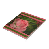 Rose Foto Tile Fliese (Seite)