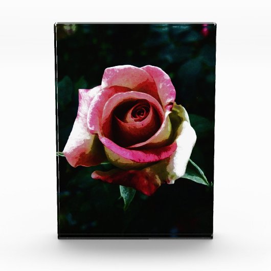 rose fotoblock (Vorderseite)
