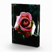 rose fotoblock (Rechts)