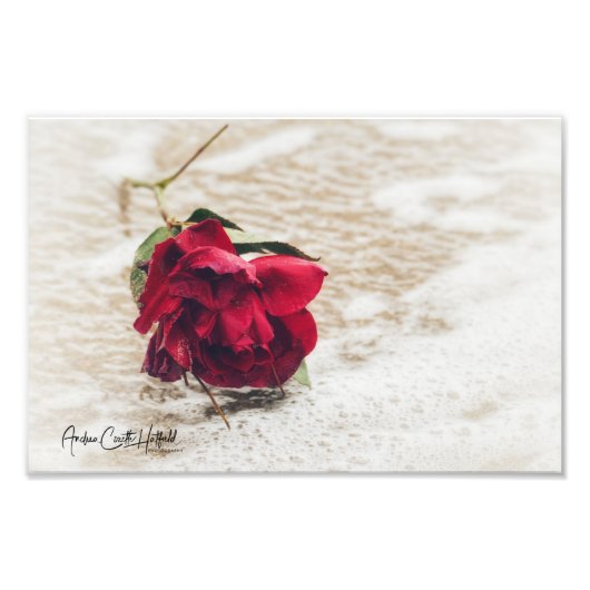Rose Fotodruck (Vorne)